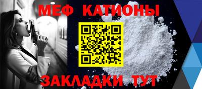 шишки Обь
