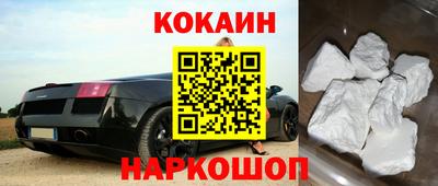 шишки Обь