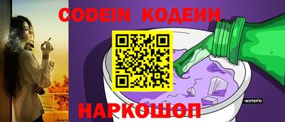 шишки Обь