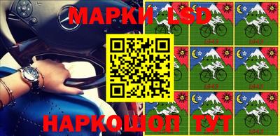 шишки Обь