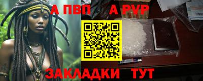 шишки Обь